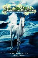 Castaway Colt (Phantom Stallion: Wild Horse Island, #4) 006088617X Book Cover