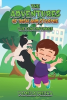 THE ADVENTURES OF JOSH AND STORMIE: The Fun Continues B0FFZ3S575 Book Cover