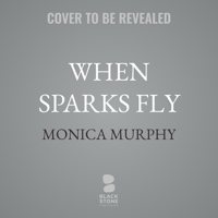 When Sparks Fly B0FRG2ZC7K Book Cover