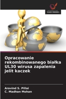 Opracowanie rekombinowanego bialka UL30 wirusa zapalenia jelit kaczek 6630325788 Book Cover