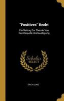 Positives Recht: Ein Beitrag Zur Theorie Von Rechtsquelle Und Auslegung 0274270153 Book Cover