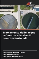 Trattamento delle acque reflue con adsorbenti non convenzionali (Italian Edition) 6209906605 Book Cover