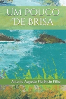 Um pouco de brisa (Antologia) (Portuguese Edition) 173141269X Book Cover
