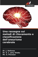 Una rassegna sui metodi di rilevamento e classificazione dell'aneurisma cerebrale (Italian Edition) 620770892X Book Cover