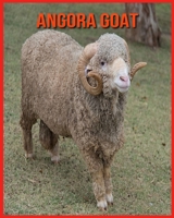 Angora Goat: Childrens Book Amazing Facts & Pictures about Angora Goat B08W7DWJJW Book Cover