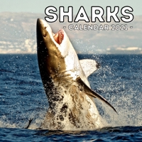 Sharks Calendar 2021: Cute Gift Idea For Sharks Lovers Men And Women B08Y4RLT6S Book Cover