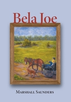 Bela Joe 1039106781 Book Cover