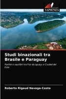 Studi binazionali tra Brasile e Paraguay: Partite e squilibri tra Foz do Iguaçu e Ciudad del Este 6203651125 Book Cover