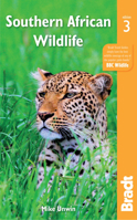 Southern African Wildlife (Bradt Travel Guides) 1784779180 Book Cover