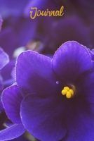 Journal: Purple African Violet Notebook Journal|6x9|120 Pages|Wide Ruled|Use for Home, School, Meetings or Office Notes 1699724539 Book Cover