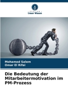 Die Bedeutung der Mitarbeitermotivation im PM-Prozess (German Edition) 6207427726 Book Cover