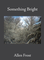 Something Bright 1639017135 Book Cover