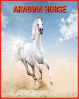 Arabian Horse: Childrens Book Amazing Facts & Pictures about Arabian Horse B08W7JH2ZQ Book Cover
