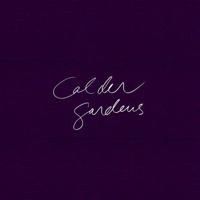 Calder Gardens: Drawings and Texts by Jacques Herzog 3907493109 Book Cover