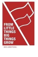 From little things big things grow: Strategies for building revolutionary socialist organisations 1922927228 Book Cover