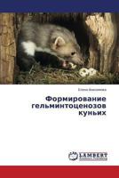 Formirovanie gel'mintotsenozov kun'ikh 3659441058 Book Cover