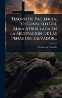 Tesoro De Paciencia, O, Consuelo Del Alma Atribulada En La MeditaciÃ3n De Las Penas Del Salvador... (Spanish Edition) 1024884295 Book Cover