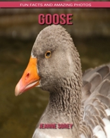Goose: Fun Facts and Amazing Photos B088BGLFQ1 Book Cover