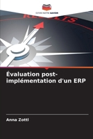 Évaluation post-implémentation d'un ERP (French Edition) 6200743258 Book Cover