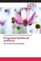 Programa flexible de auditoría 3659003719 Book Cover