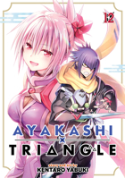 Ayakashi Triangle Vol. 12 B0CX8MR5TX Book Cover