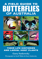 Field Guide to Butterflies of Australia by Garry Sankowsky 1921517883 Book Cover