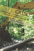Crux: a 3 act lyrical drama to be set to operatic music 1679101587 Book Cover