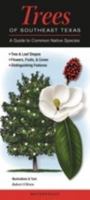 Trees of Southeast Texas: A Guide to Common Native Species 0982621159 Book Cover
