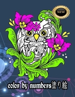 color by numbers塗り絵 B0C2SM3KD4 Book Cover