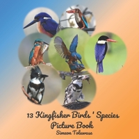 13 Kingfisher Birds' Species Picture Book: Photobook of Kingfisher birds A Coffee Table Book for Bird Watchers Lovers A Gift for Adult seniors Dementia Alzheimer Patients kids Common White-throated Pi B09767MMY4 Book Cover