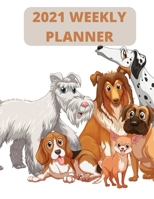 2021 weekly planner: 2021 Planner Weekly: January to December 1716298520 Book Cover