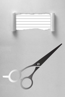 My Own Appointment Handbook Hairdresser Hair Stylist Notebook: Professional Paperback Book, Important, Time Stamp, Barber, Textbook 1710048220 Book Cover
