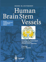 Human Brain Stem Vessels: Including the Pineal Gland and Information on Brain Stem Infarction 3642084028 Book Cover