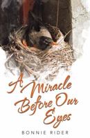 A Miracle Before Our Eyes 1490837450 Book Cover