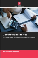 Gestão sem limites (Portuguese Edition) 6630333616 Book Cover