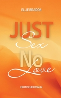 Just Sex - No Love 3: (K)ein Liebesroman 3756856771 Book Cover