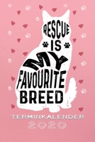 Terminkalender 2020: Katze Katzen Terminkalender und Tagesplaner ca DIN A5 farbig | 376 Seiten | 1 Seite pro Tag | Katzenliebhaber | Mieze Meow (German Edition) 1673085997 Book Cover