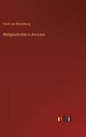 Weltgeschichte in Anrissen 3368283510 Book Cover