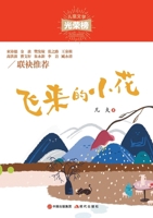 ????? (Chinese Edition) 7514381864 Book Cover