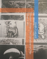 Poems From The Shadow of the Blue Hills B0H7QLJW8F Book Cover
