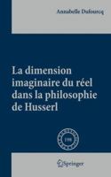 La Dimension Imaginaire Du Reel Dans La Philosophie de Husserl 9048197961 Book Cover