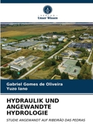 Hydraulik Und Angewandte Hydrologie 6203538647 Book Cover