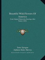 Beautiful Wild Flowers Of America: From Original Watercolor Drawings After Nature 116589467X Book Cover