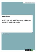 Erfahrung und Wahrnehmung in Edmund Husserls Phänomenologie 3656501807 Book Cover