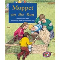 PM LIBRARY PURPLE THE STORM 20 0176836144 Book Cover