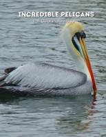 Incredible Pelicans Full-Color Picture Book: Stork Photography Book - Bird Picture Book for Children, Seniors and Alzheimer’s Patients -Nature Animals B093J58SJP Book Cover