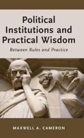 Political Institutions and Practical Wisdom: Between Rules and Practice 0190694335 Book Cover