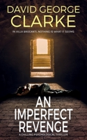 An Imperfect Revenge 1912406284 Book Cover