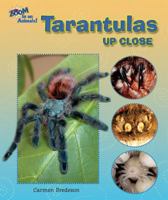 Tarantulas Up Close 0766030768 Book Cover