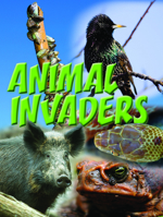 Animales invasores: Animal Invaders 1615903194 Book Cover
